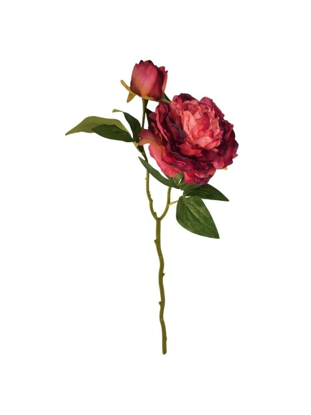 Rose Pink Faux Peony Stem 18 Inch Wedding Artificial Silk Flower Burgundy Tips - Picture 2 of 9